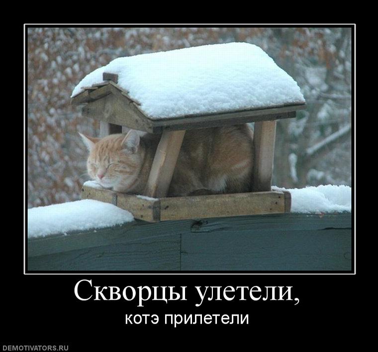 213714 skvortsyi-uleteli