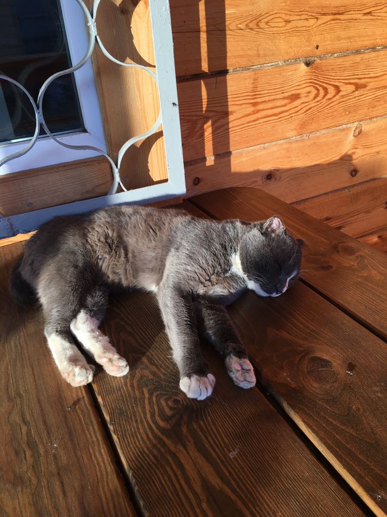 Сарминский котэ