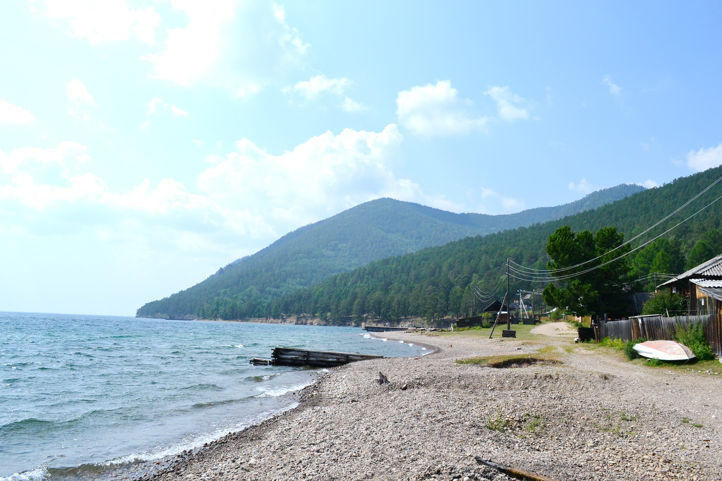 Большие КОты))))))