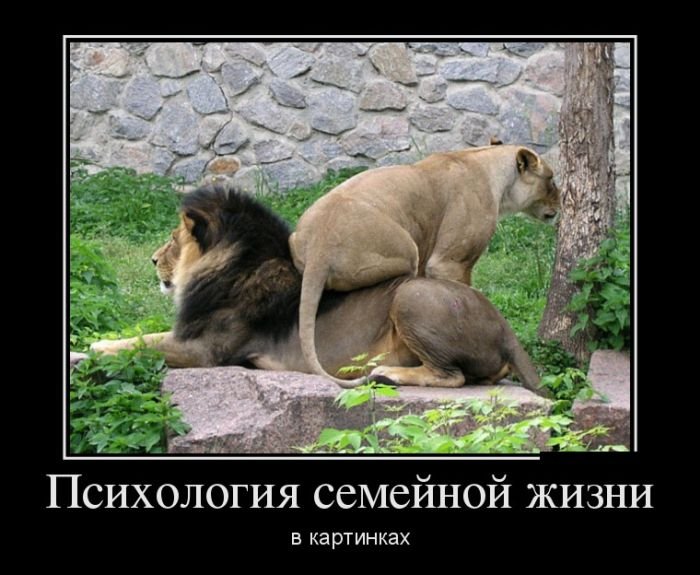 Психология семейной жизни