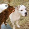 уже скоро))
