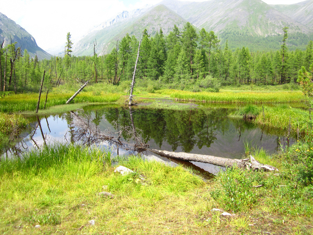 Лесные озера