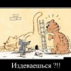 Издеваешься?!