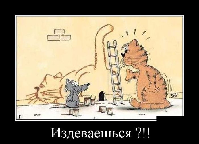 Издеваешься?!