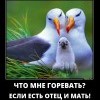 Что мне горевать?