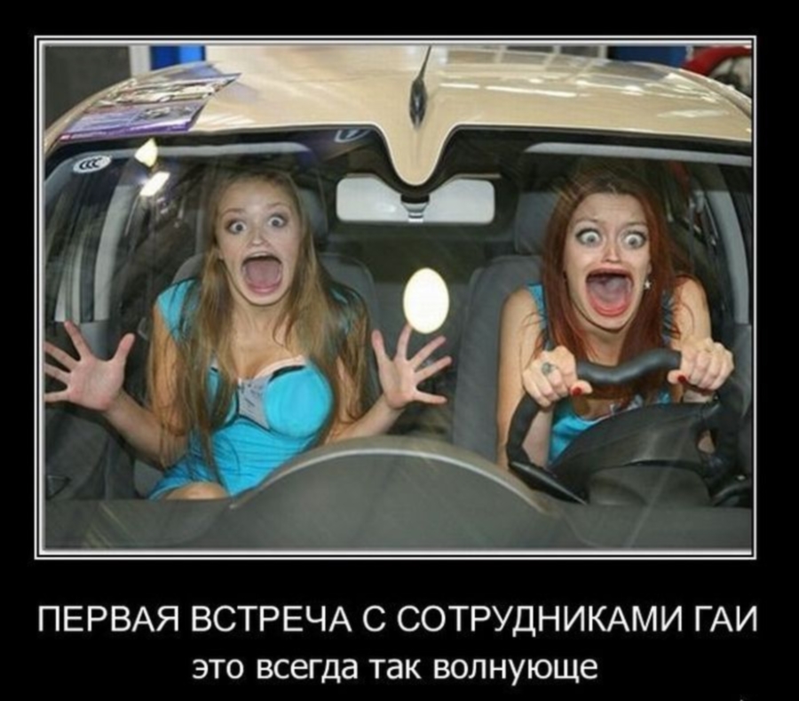 Встреча  с ГАИ
