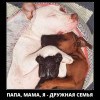 Дружная семья