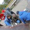 IMG 0429 IMG 0429