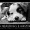 Свои беды-своя вина Свои беды-своя вина
