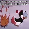 Кто-то бесит Кто-то бесит