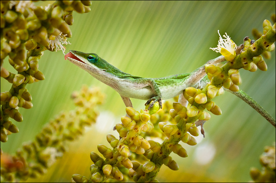 Фкусссссна))))))