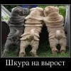 Шкура на вырост Шкура на вырост