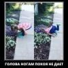 Голова не дает покоя Голова не дает покоя