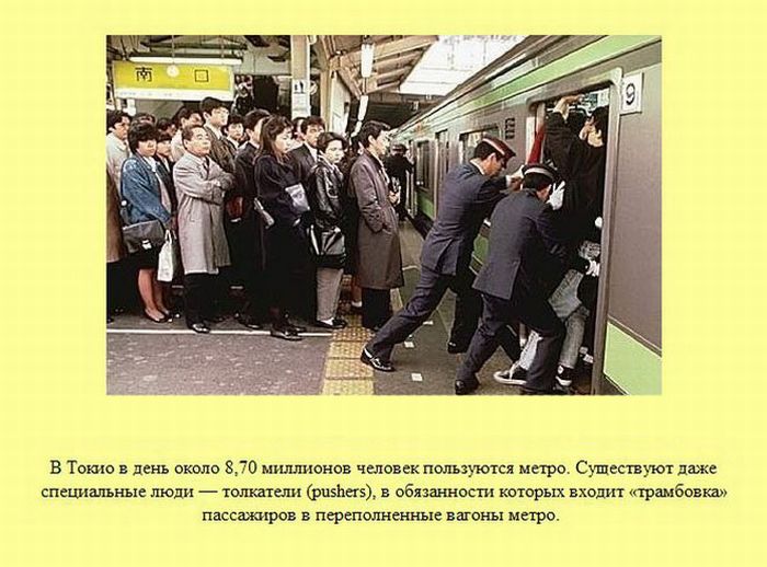 Толкатели