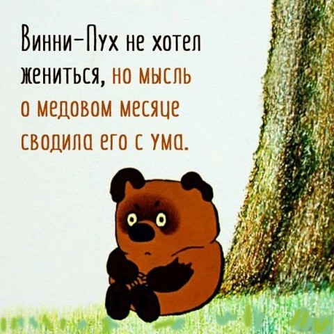 Мысль о медовом месяце