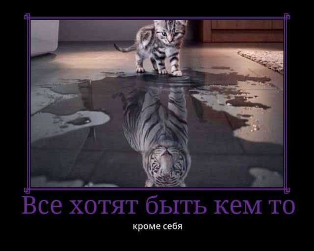 Все хотят...