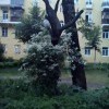Двор в Щелково. Двор в Щелково.