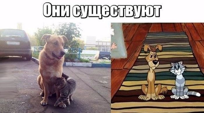 Они существуют