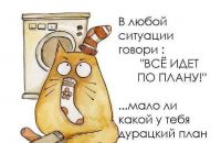 Все по плану!