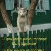 1bfa62290c75f16e2f08ab375c6 prev 1bfa62290c75f16e2f08ab375c6 prev