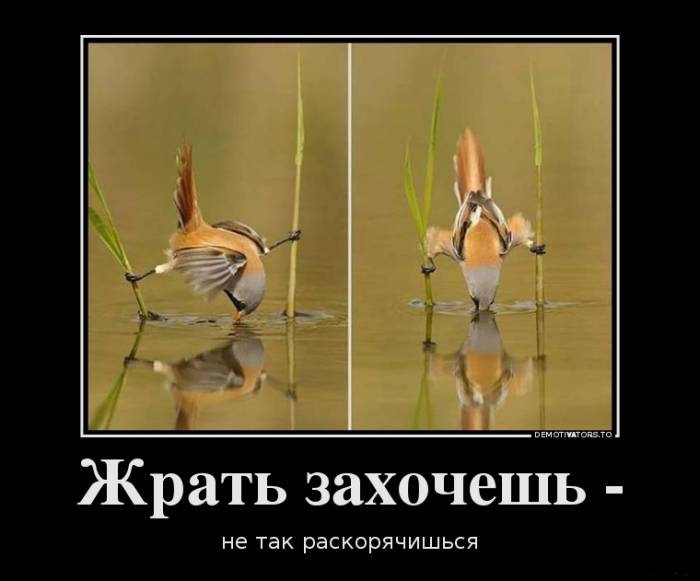 Раскоряк