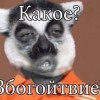 гагое збагойзтвие?))))) гагое збагойзтвие?)))))