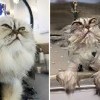 Мыт ,но не сломлен! Мыт ,но не сломлен!