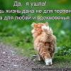 Ушла..