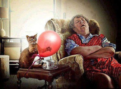 Сейчас ты у меня вспомнишь и веник и тапочек..))