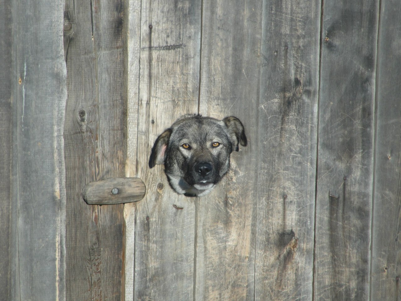 Проходя по Одинску...