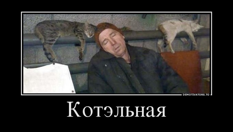 43656068 kotelnaya