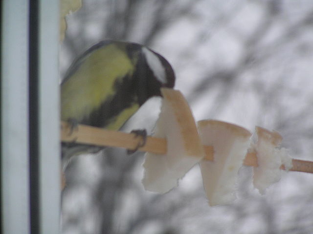 Вкусное сало! Но мало!