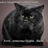 88911e53113cc687a1d6ab4622f prev