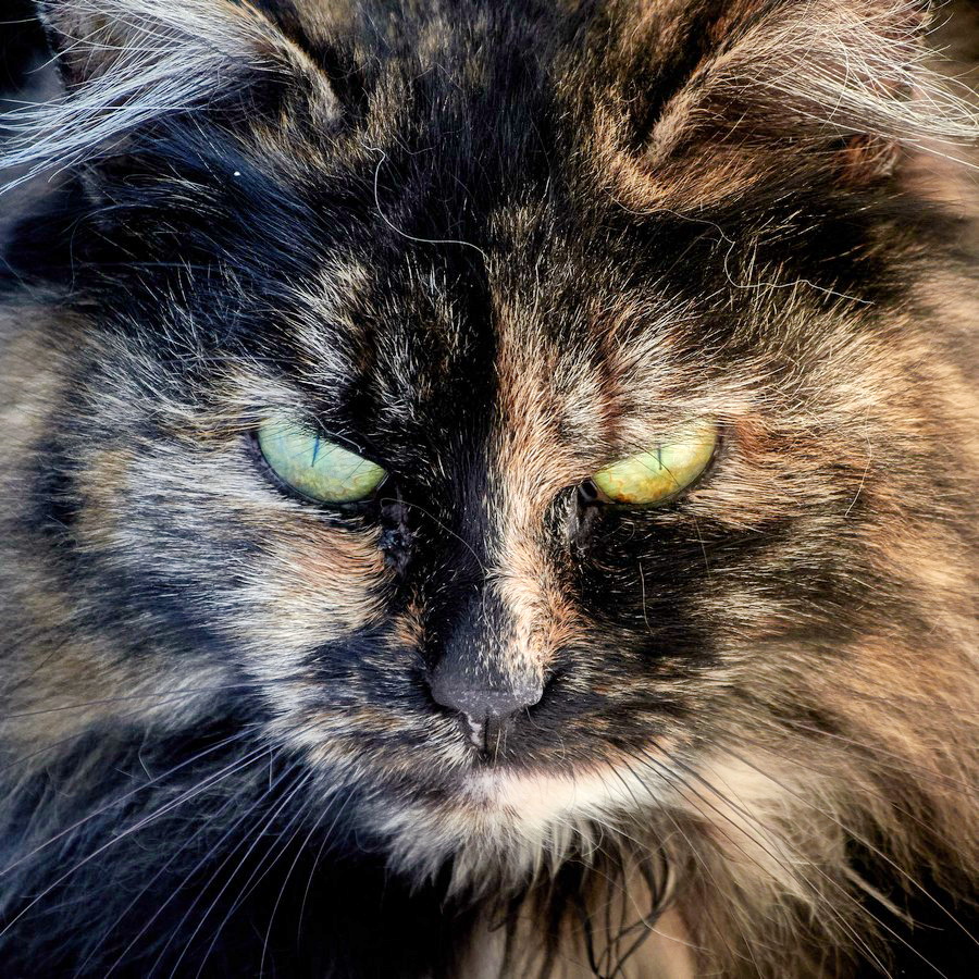 очень доброе утро))))))