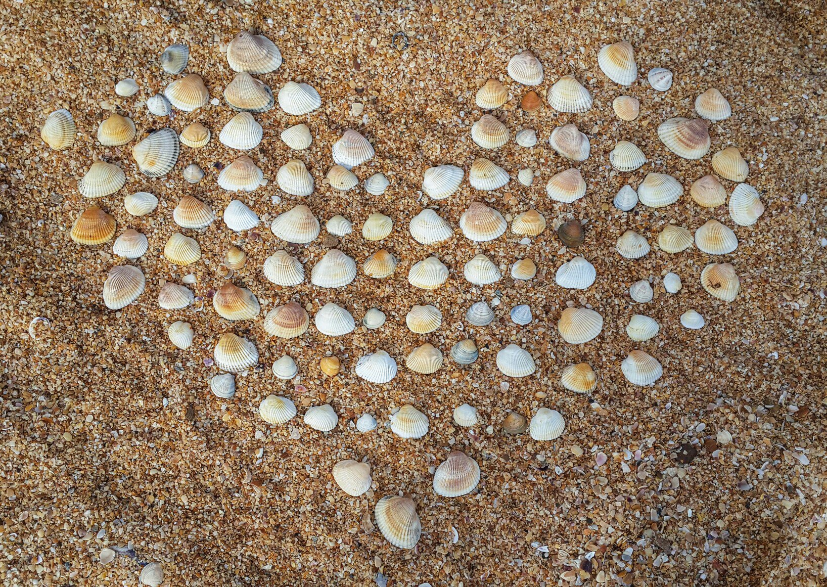 А любовь не тонет, любовь не горит