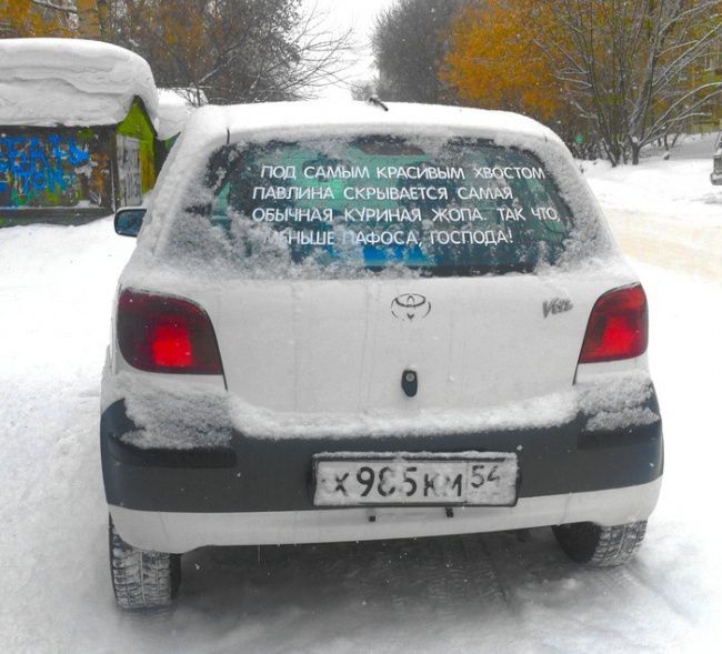 Хвост павлина