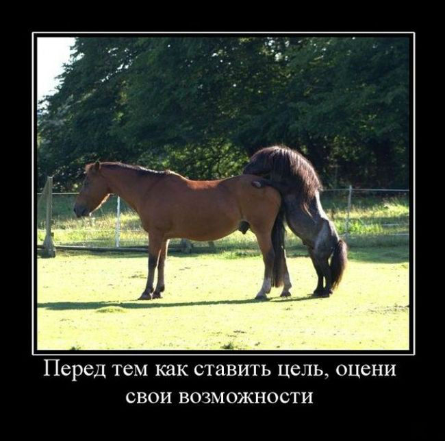 Оценивай свои возможности