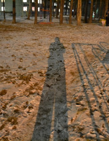 Моя ноябрьская тень)))))) Моя ноябрьская тень))))))