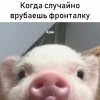 Фронтальное фото