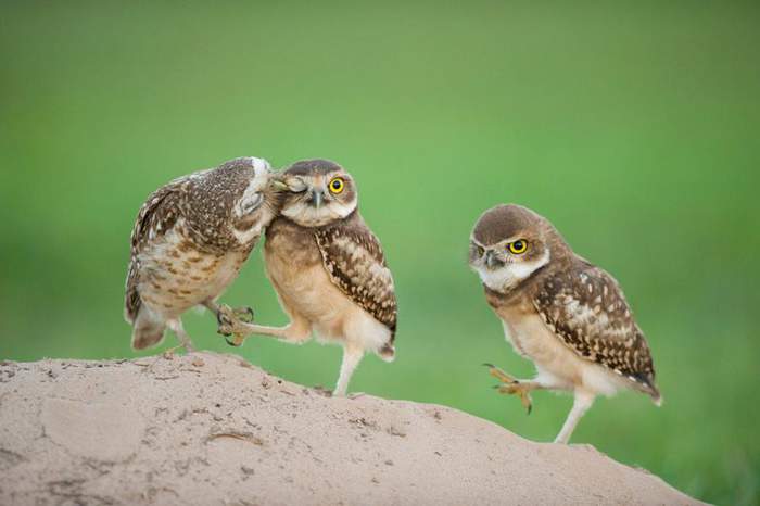 Дай я тебя пацалую)))))))))