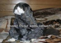 про нас(про всех кому холодно) )))