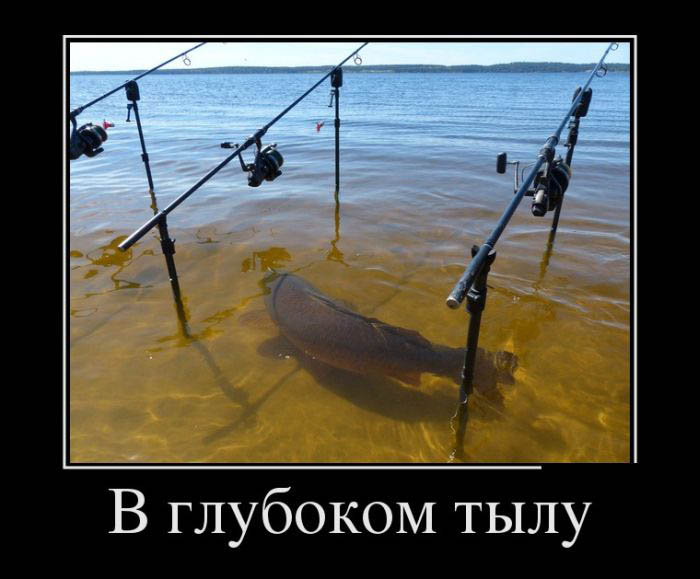 В глубоком тылу