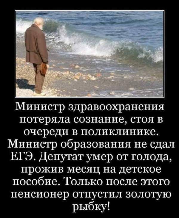 Золотая рыбка