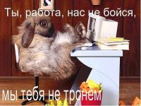 скоро пятница скоро пятница