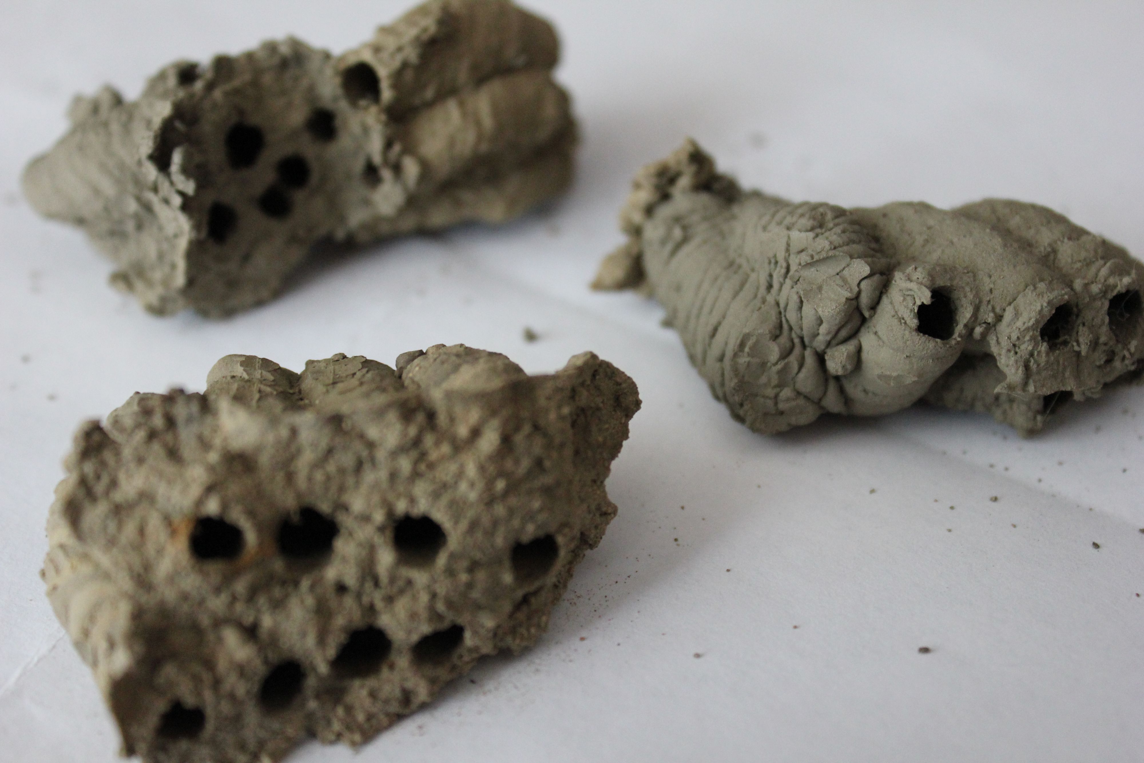 Что это такое???