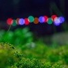 ночная змейка ночная змейка