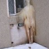прислонился) прислонился)