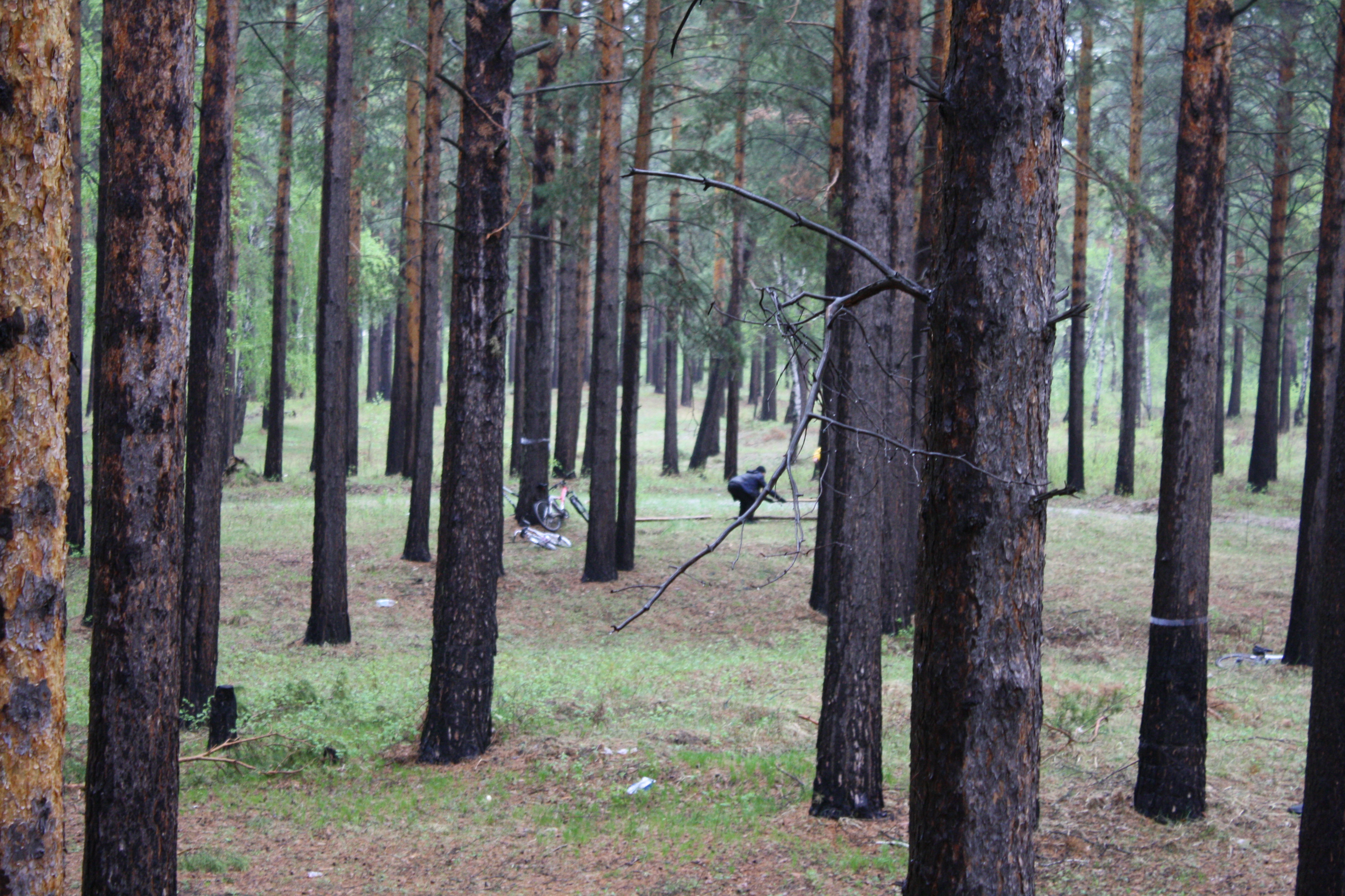 не помню зачем я это сфотала