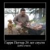 343399 garri-potter-20-let-spustya 343399 garri-potter-20-let-spustya