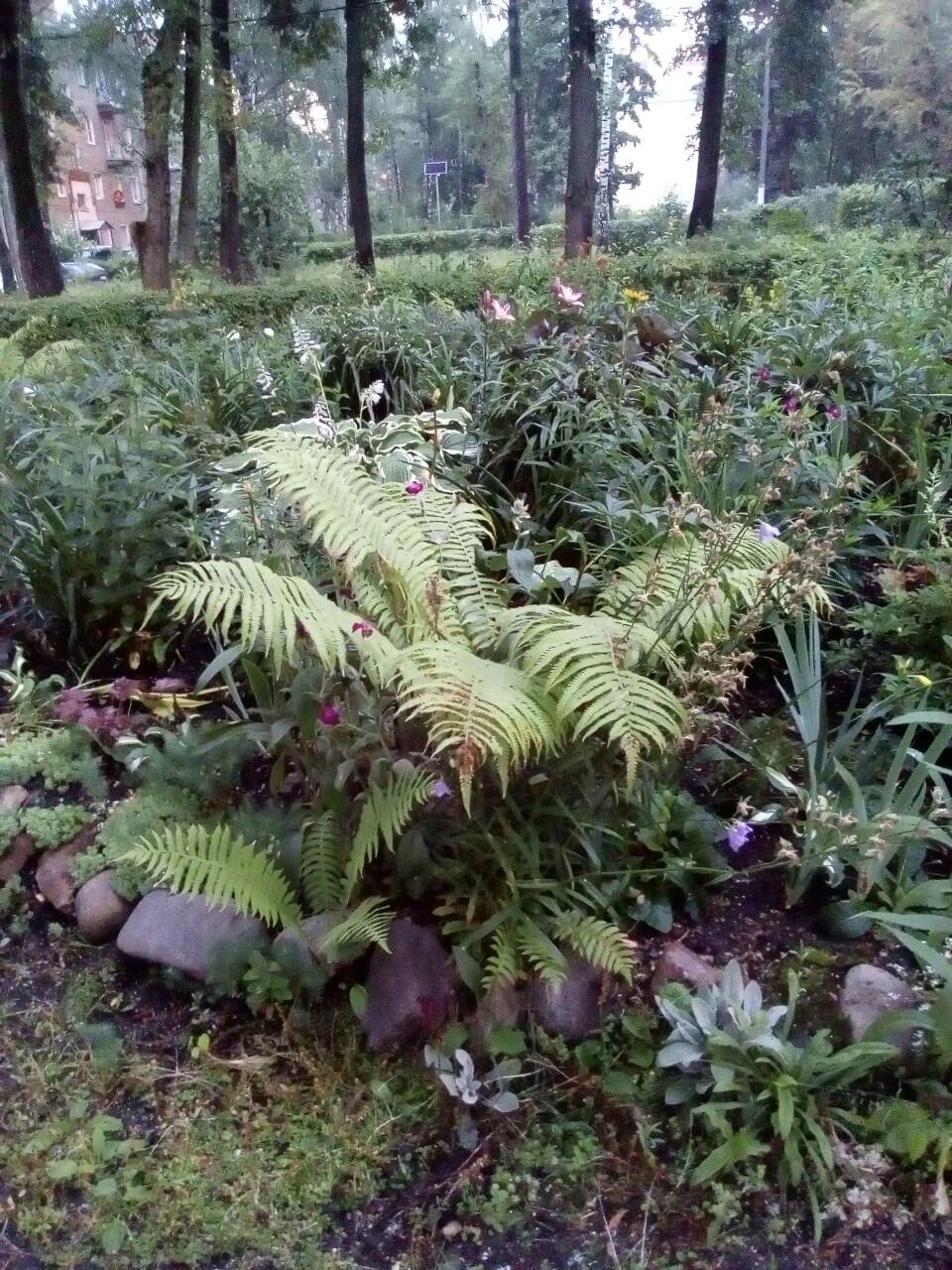 Двор в Щелково.